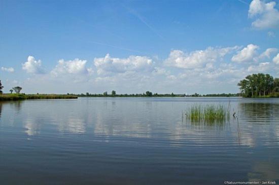 Froukje'S B&B Woerdense Verlaat 外观 照片